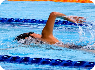 Swimmer training with freestyle stroke in pool lane