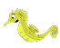 Seahorse