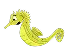 Seahorse