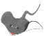 Stingray