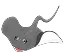 Stingray