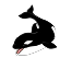 Orca