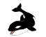 Orca
